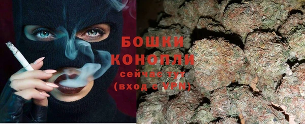 гидра Осинники