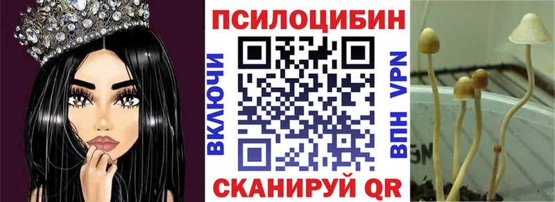 omg сайт  закладка  Кувандык  Галлюциногенные грибы Psilocybe 